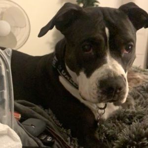 Meet your Posher, Katelyn